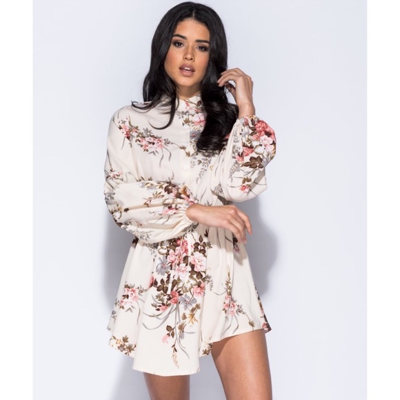 Cream & Pink Rose Floral Long Sleeve Mini Dress - Picture 3 of 8